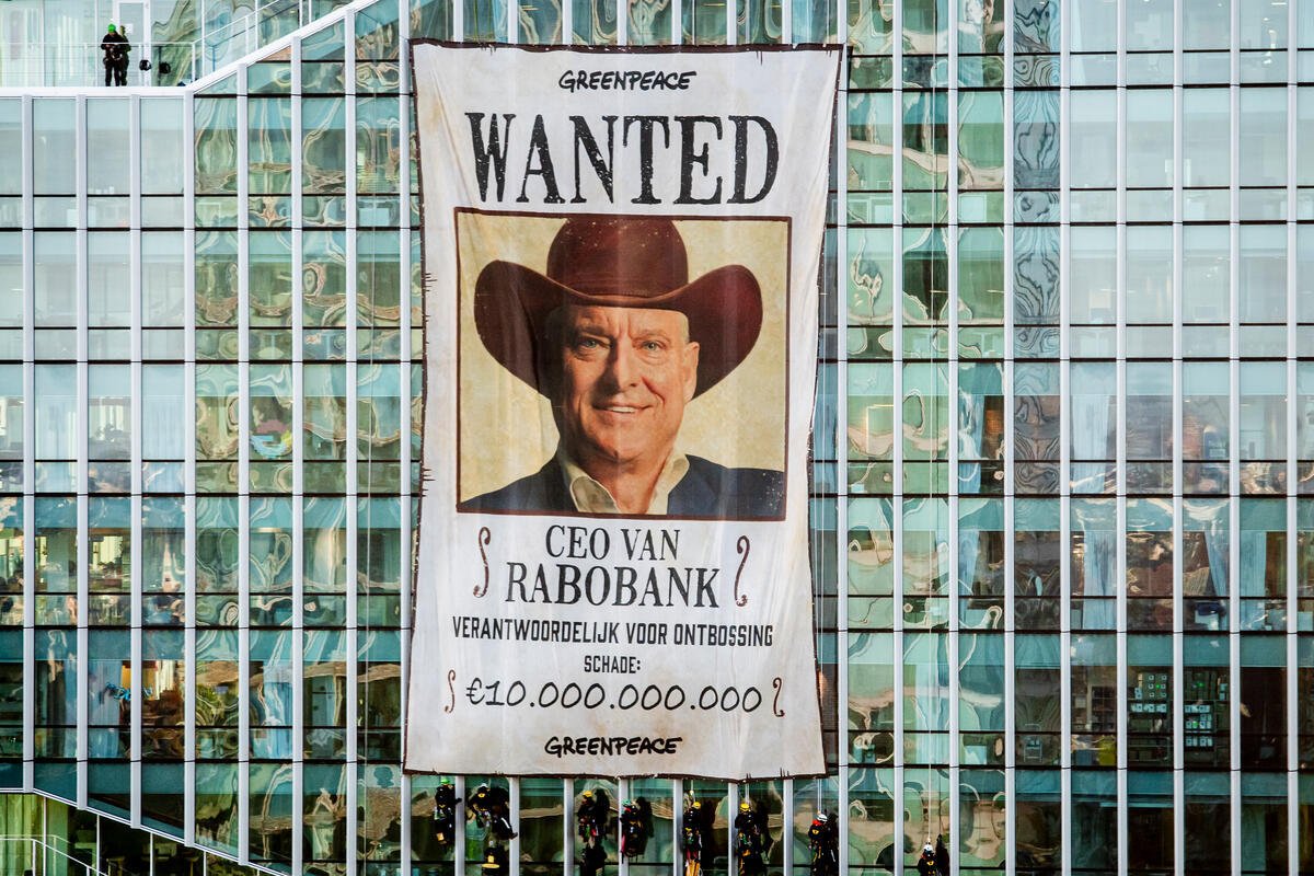 Greenpeace Nederland tweet media