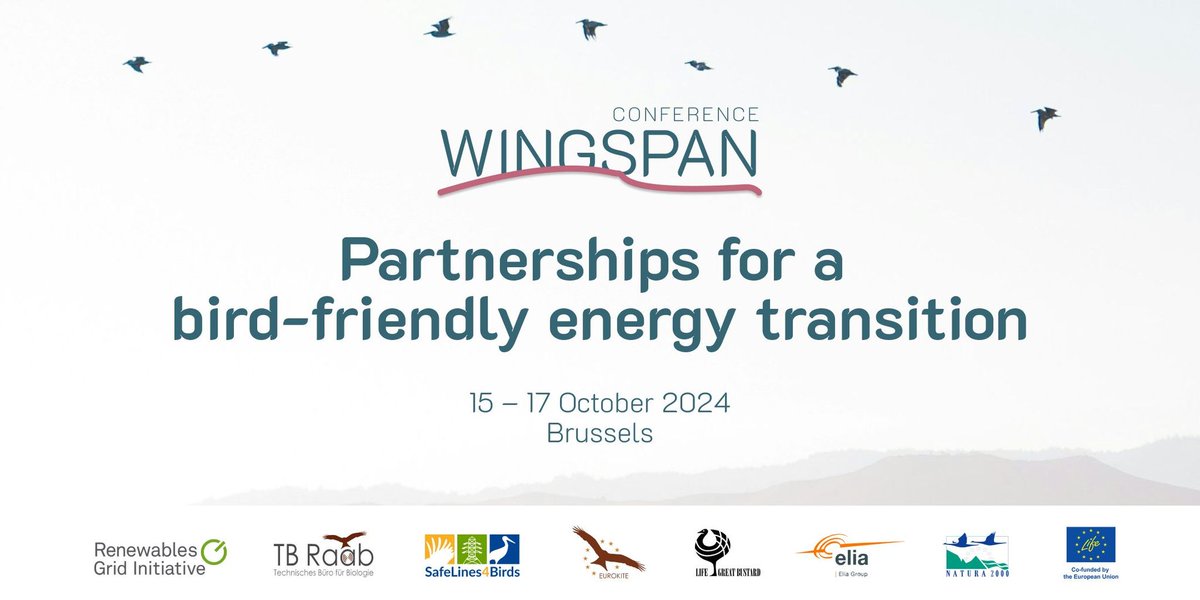 LIFE Programme (@lifeprogramme) on Twitter photo #Wingspan2024 begins today🌍
Join us from 15-17 October for a bird-friendly #EnergyTransition🐦
#LIFEProjects <a href="/SafeLines4Birds/">SafeLines4Birds</a>, #LifeEurokite & #LifeGreatBustard will discuss how to balance renewables with #EUBiodiversity🌿
👉europa.eu/!WppW6x
#LIFEProgramme #Wingspan2024 begins today🌍
Join us from 15-17 October for a bird-friendly #EnergyTransition🐦
#LIFEProjects <a href="/SafeLines4Birds/">SafeLines4Birds</a>, #LifeEurokite & #LifeGreatBustard will discuss how to balance renewables with #EUBiodiversity🌿
👉europa.eu/!WppW6x
#LIFEProgramme