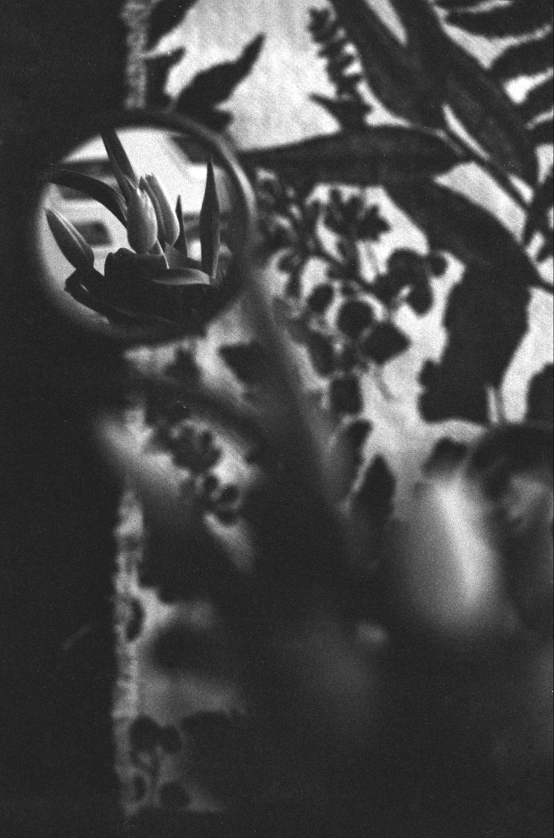 #31themesAnalogChallenge
Jour 15 : Perspective