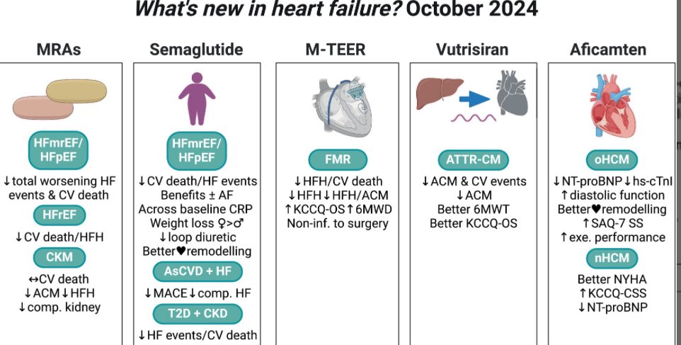 Ahmed Bennis (@drbennisahmed) on Twitter photo What's new in heart failure? October 2024
steroidal and non-steroidal MRA improve outcomes in HF
GLP-1 RA  improve clinical outcomes in HF
MTTR repair for functional mitral regurgitation
vutrisiran in transthyretin amyloid cardiomyopathy 
onlinelibrary.wiley.com/doi/full/10.10โฆ What's new in heart failure? October 2024
steroidal and non-steroidal MRA improve outcomes in HF
GLP-1 RA  improve clinical outcomes in HF
MTTR repair for functional mitral regurgitation
vutrisiran in transthyretin amyloid cardiomyopathy 
onlinelibrary.wiley.com/doi/full/10.10โฆ