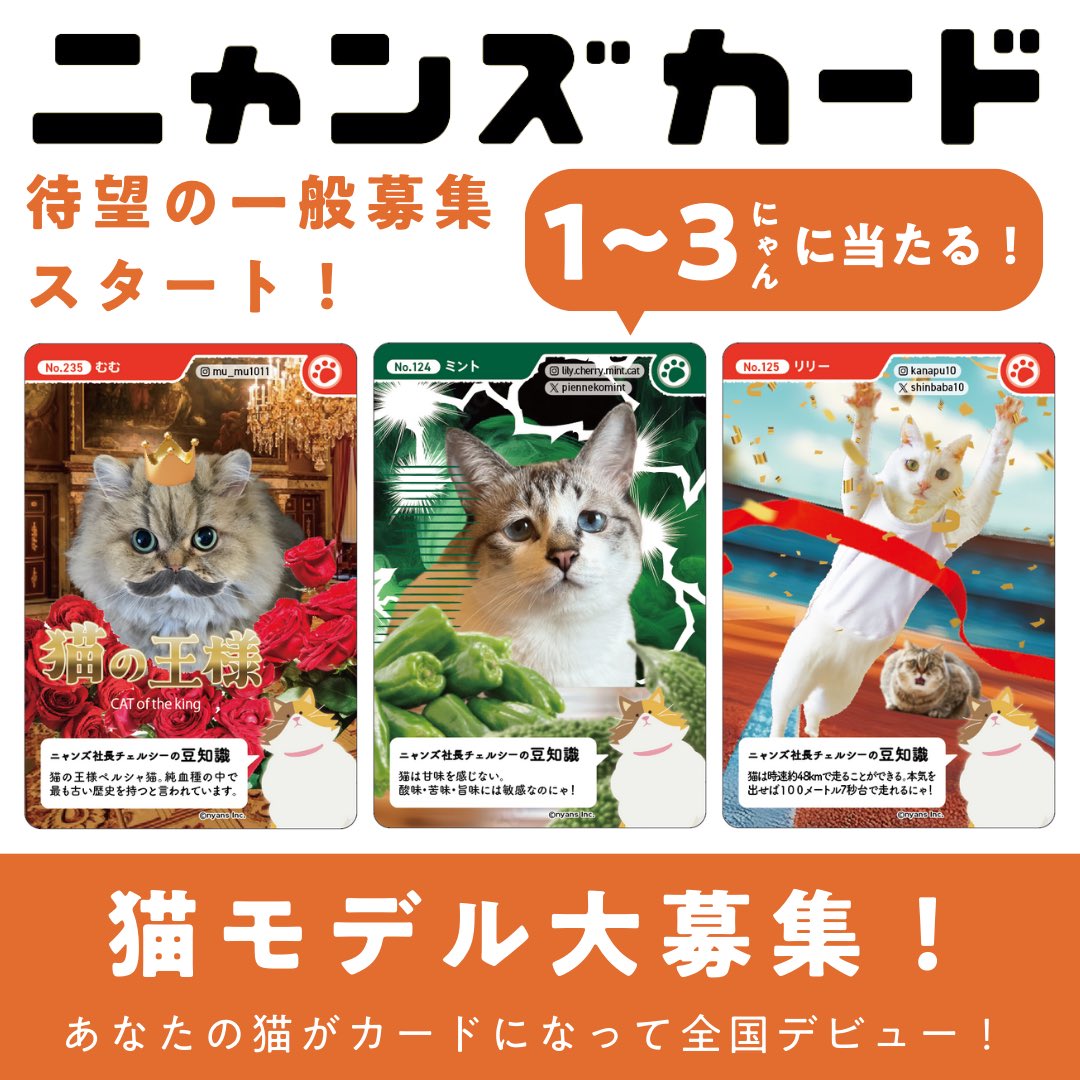 【ついに一般募集！】

あなたの猫ちゃんが
ニャンズカードで全国デビュー！？

① <a href="/nyansinc/">猫のためのnyans【公式】</a> を「フォロー」
② 投稿に「いいね」
③ 投稿を「リポスト」

◾️応募期間
2024.10.15(火)〜2024.10.20(日)