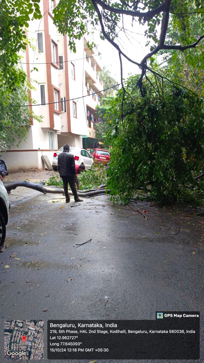BCCCofficial's tweet photo. Tree fallen cleared by east zone forest dept team in RMV 2nd Stage AECS layout, Jaibharathi nagar Sevanagar.
#BBMP #BBMPCares #BangaloreRain #BengaluruRains #bbmpforest
@CMofKarnataka @DKShivakumar @BBMPAdmn @BBMPCOMM https://t.co/lj5HqwudNZ