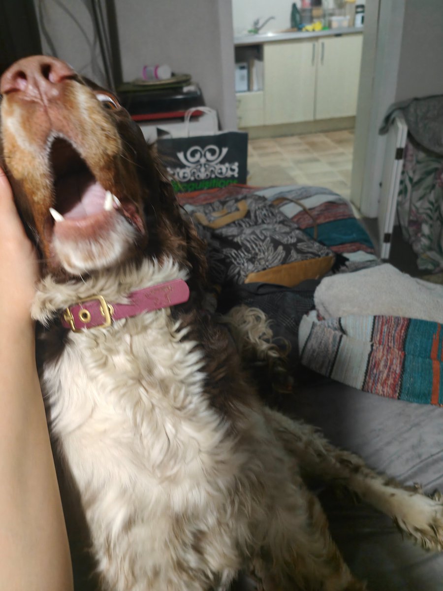 Moddisms tweet media