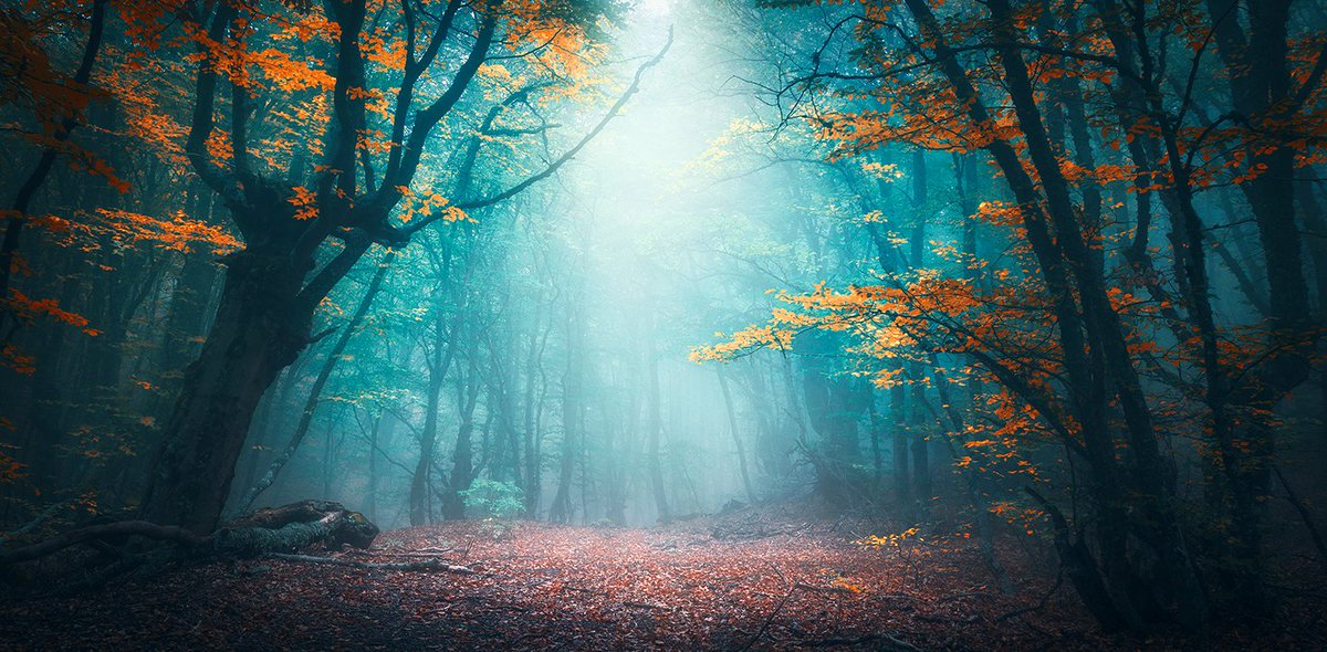 Cos'è oggi la natura come metafora, utopia, illusione, passato della specie. iltascabile.com/linguaggi/natu…