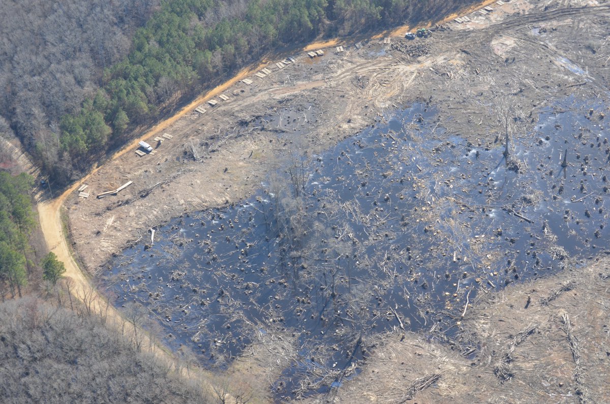 Cut Carbon Not Forests (@ccnfuk) on Twitter photo Environmental groups incl. <a href="/GreenpeaceUK/">Greenpeace UK</a> <a href="/Natures_Voice/">RSPB</a> <a href="/friends_earth/">Friends of the Earth</a> <a href="/wwf_uk/">WWF UK</a> have today written to <a href="/Ed_Miliband/">Ed Miliband</a> <a href="/DavidLammy/">David Lammy</a> <a href="/SteveReedMP/">Steve Reed MP</a>
They're calling for an end to billions of ££ handed to tree-burning power stations.
tinyurl.com/4t9vx5x8
#BigBadBioenergy Environmental groups incl. <a href="/GreenpeaceUK/">Greenpeace UK</a> <a href="/Natures_Voice/">RSPB</a> <a href="/friends_earth/">Friends of the Earth</a> <a href="/wwf_uk/">WWF UK</a> have today written to <a href="/Ed_Miliband/">Ed Miliband</a> <a href="/DavidLammy/">David Lammy</a> <a href="/SteveReedMP/">Steve Reed MP</a>
They're calling for an end to billions of ££ handed to tree-burning power stations.
tinyurl.com/4t9vx5x8
#BigBadBioenergy