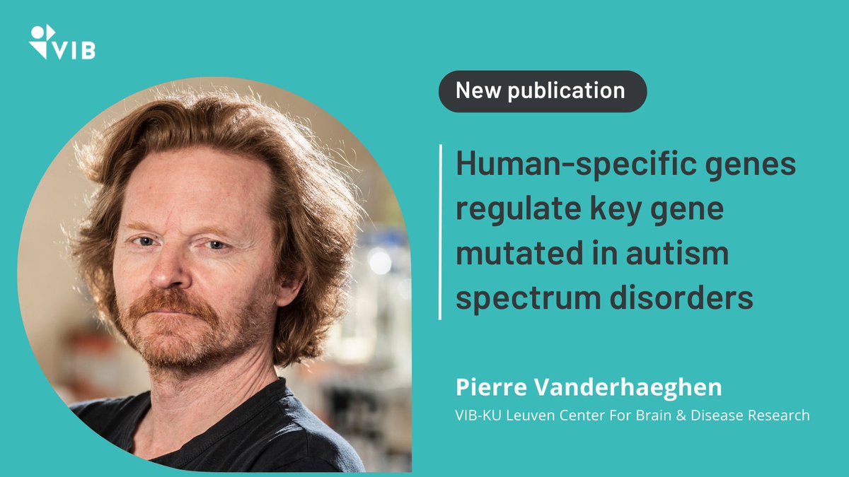 VIB (@viblifesciences) on Twitter photo 🧠 The human brain has a remarkably long developmental trajectory. @VanderhaeghenP2 <a href="/blibep/">Baptiste Libé-Philippot</a> and colleagues (<a href="/CBD_VIB/">VIB-KU Leuven Center for Brain & Disease Research</a> <a href="/KU_Leuven/">KU Leuven</a>) found a uniquely human link between this trajectory and neurodevelopmental disorders 👉 vibbio.tech/486eciC
<a href="/ERC_Research/">European Research Council (ERC)</a> <a href="/FWOVlaanderen/">FWO</a> 🧠 The human brain has a remarkably long developmental trajectory. @VanderhaeghenP2 <a href="/blibep/">Baptiste Libé-Philippot</a> and colleagues (<a href="/CBD_VIB/">VIB-KU Leuven Center for Brain & Disease Research</a> <a href="/KU_Leuven/">KU Leuven</a>) found a uniquely human link between this trajectory and neurodevelopmental disorders 👉 vibbio.tech/486eciC
<a href="/ERC_Research/">European Research Council (ERC)</a> <a href="/FWOVlaanderen/">FWO</a>