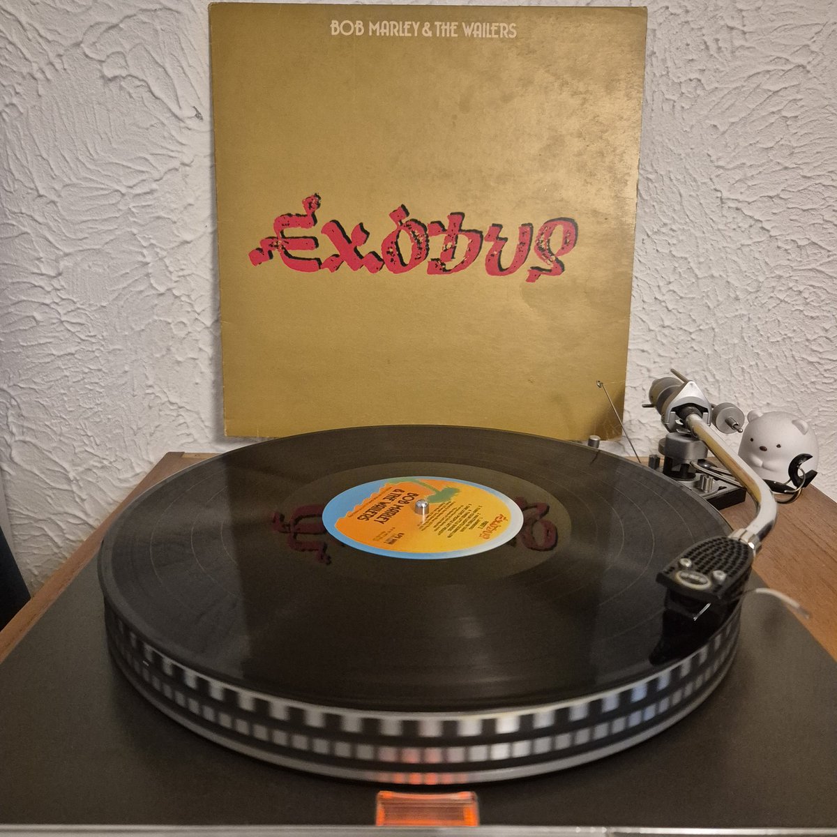 Brighter Day Record Shop tweet media