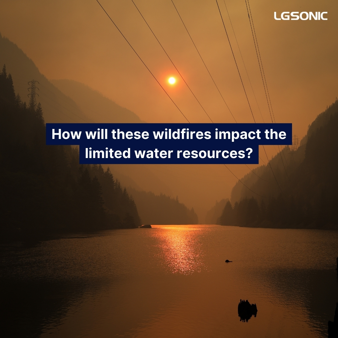 Over 400,000 wildfires have affected South America, causing significant ecological damage and posing risks to many species. These fires, combined with ongoing droughts, could further strain the region's limited water resources.
Read more in our new blog: lnkd.in/e5Q7kF4R
