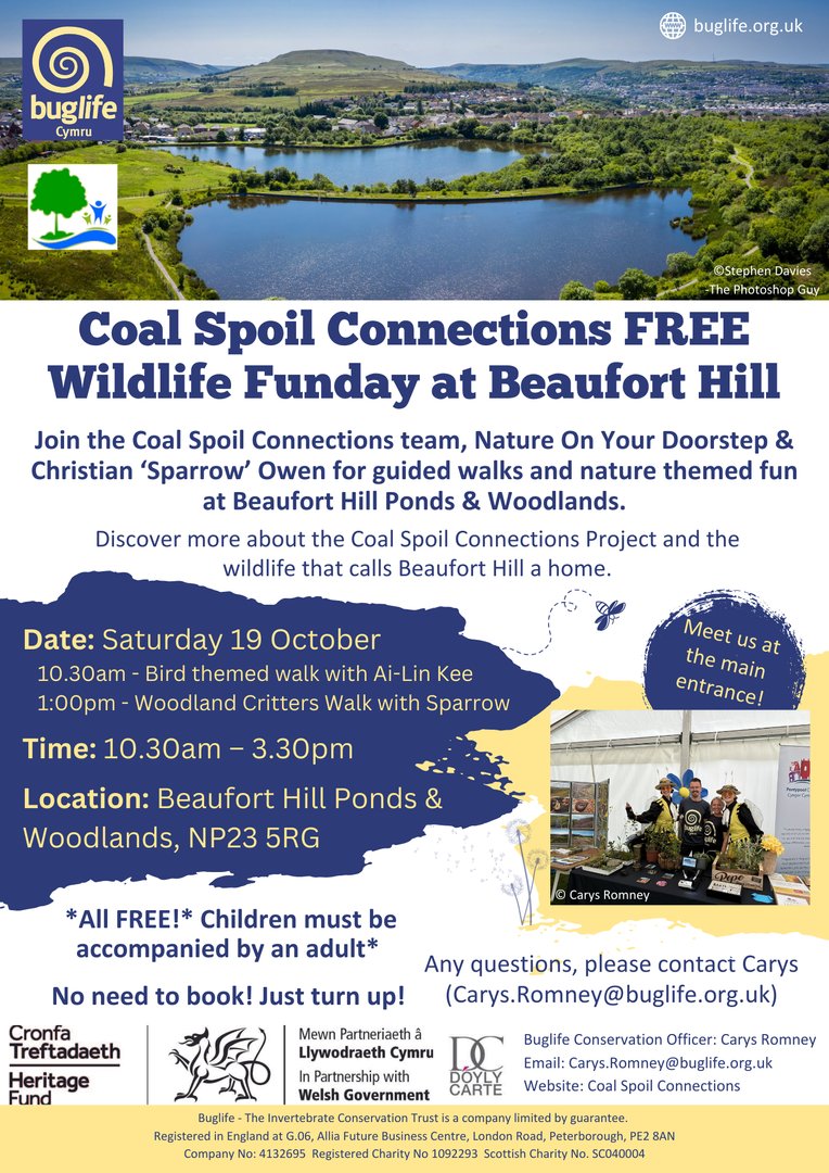 Buzz_dont_tweet's tweet photo. Join #CoalSpoilConnections, @AilinKee &amp; Christian ‘Sparrow’ Owen for guided walks &amp; nature themed fun at Beaufort Hill Ponds &amp; Woodlands.

🗓️ Saturday 19 October
🕙 10:00-15:30

Discover more about the project &amp; the wildlife that calls #BeaufortHill a home.

#BuglifeCymru https://t.co/PjW7OdjFxI