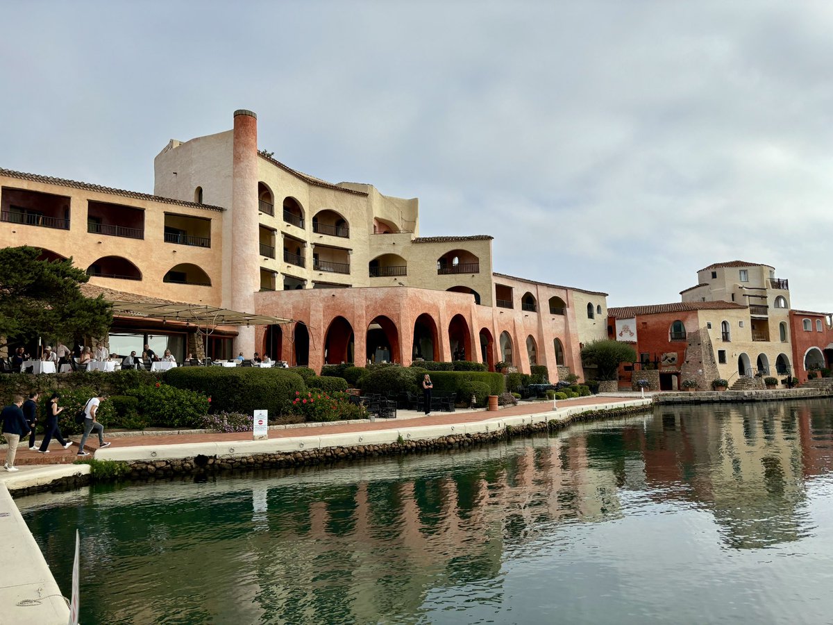 Tim Pitt tweet media