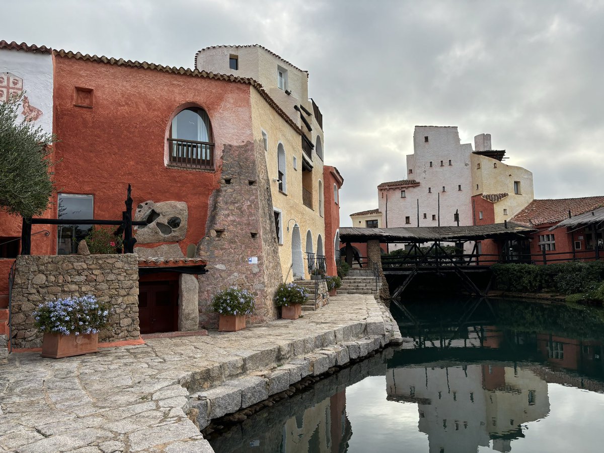 Tim Pitt tweet media