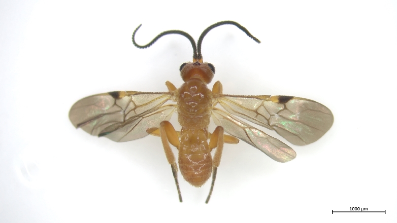 Agroecology-TRANSECT tweet media