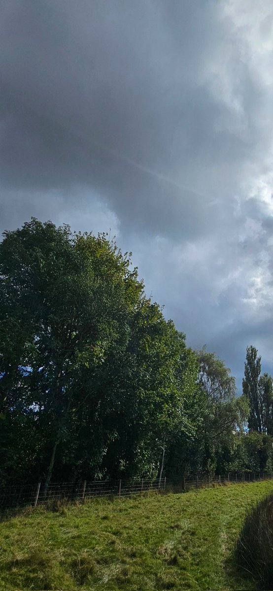 Hello from North Yorkshire. Moody. (May need a click.) #Clouds #Sky #Woodland #Yorkshire