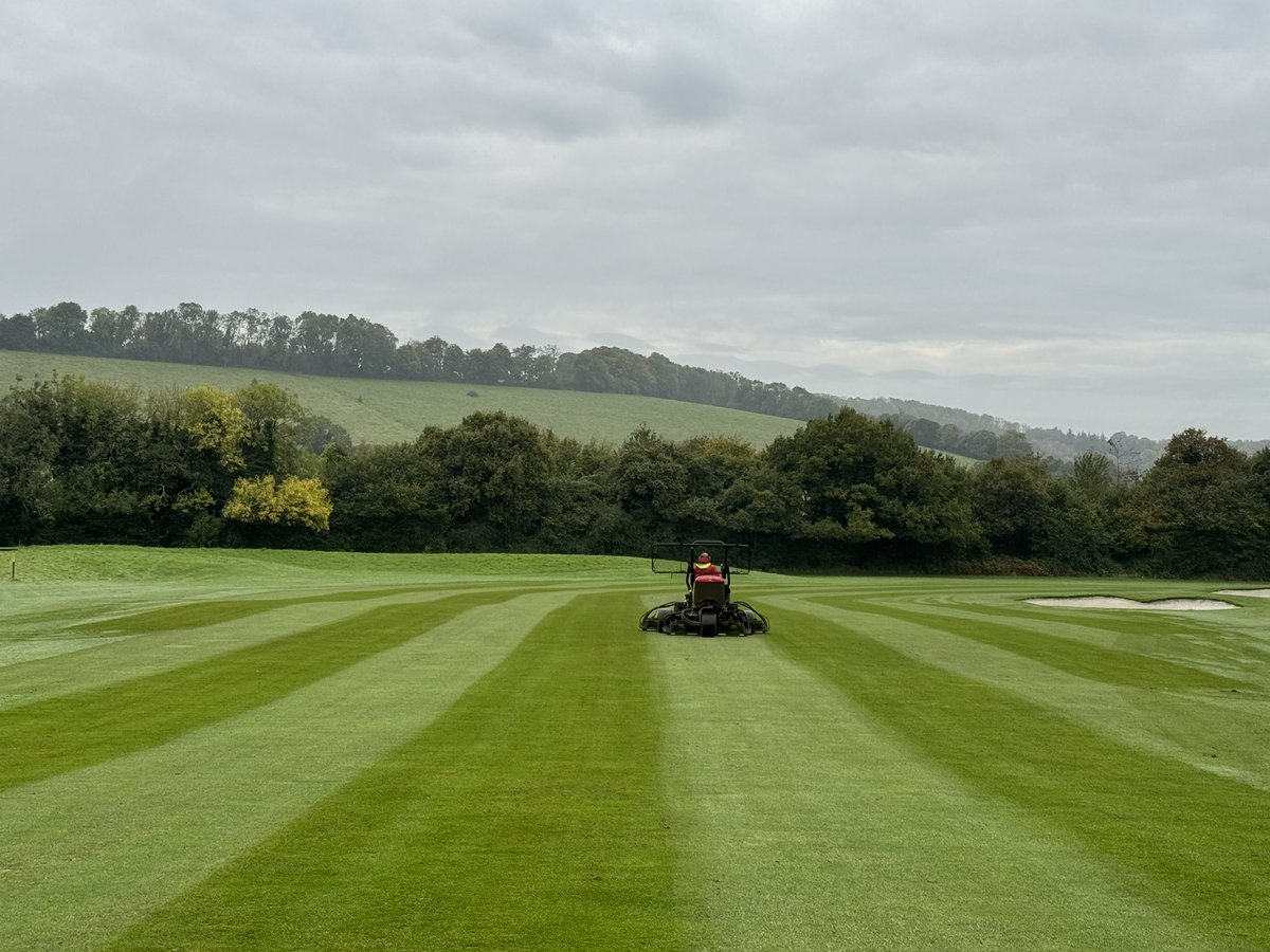 iestyn carpenter tweet media