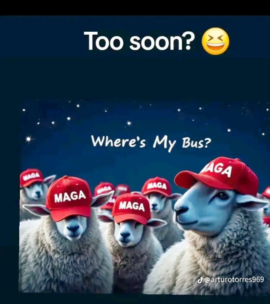 Ray_Prov's tweet image. 