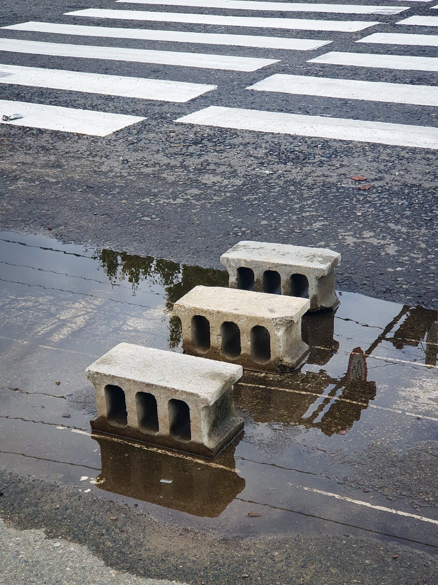 비가 오는 날이면 항상 같은 자리에 징검다리를 놓는 사람의 마음은 몰까••
오늘도 마주한 이름 모를 누군가의 다정과 사랑