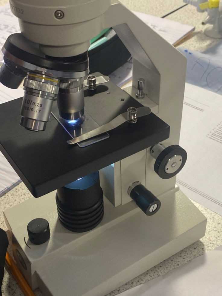 rix೨౿ tweet media