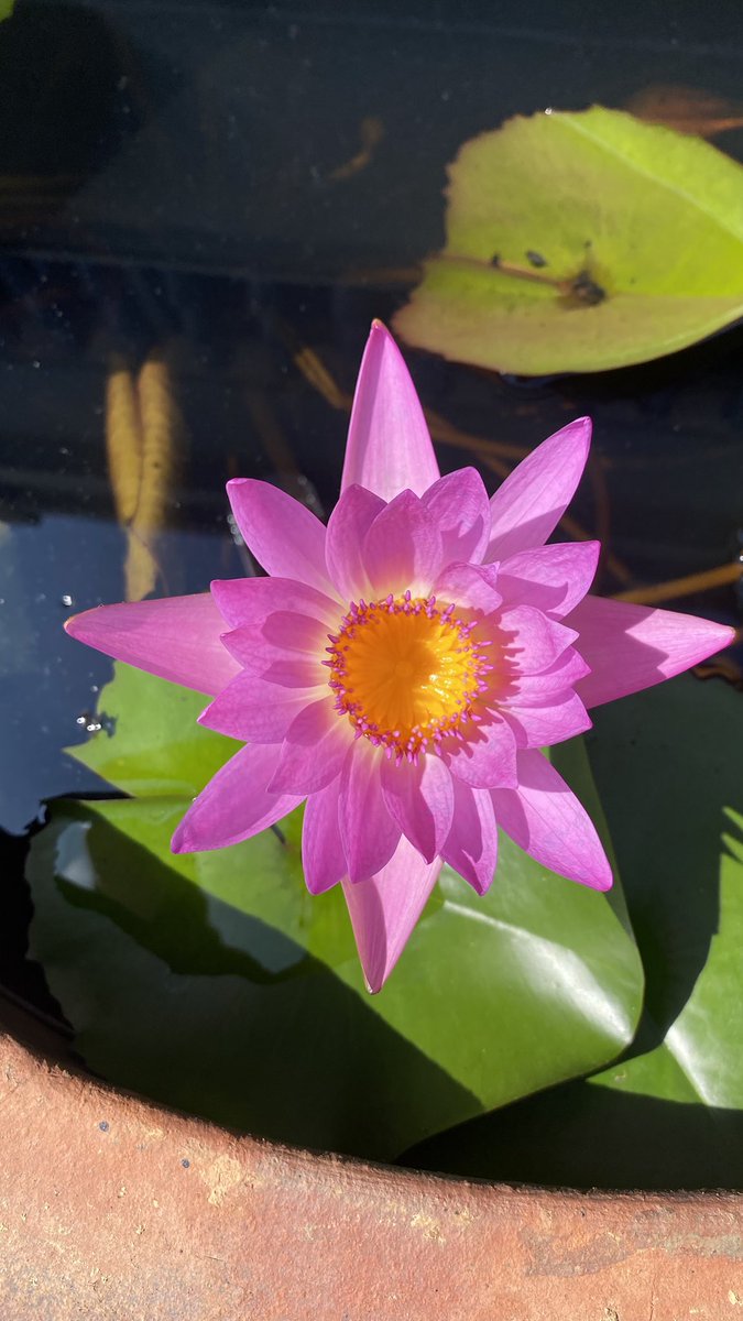 廈門同安梵天寺之旅：一