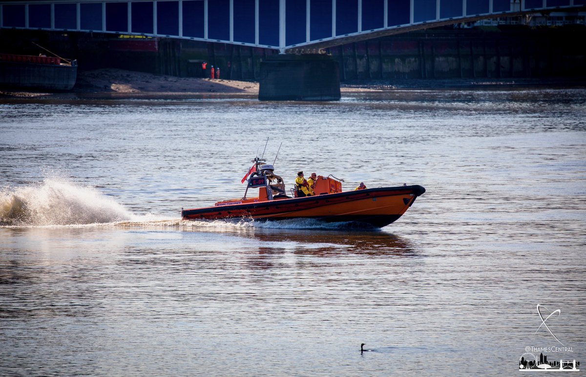 David Nathan tweet media