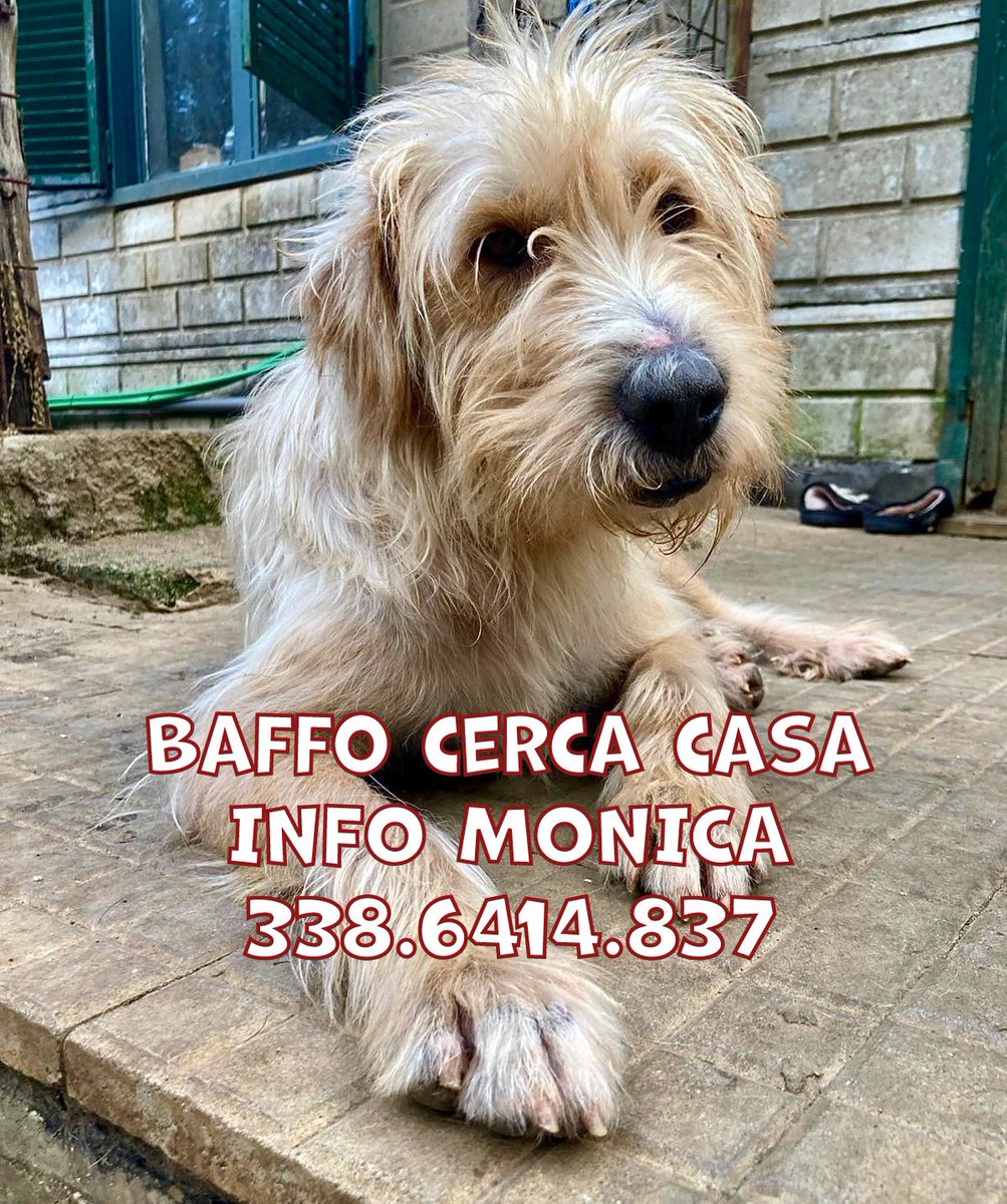 Patrizia tweet media