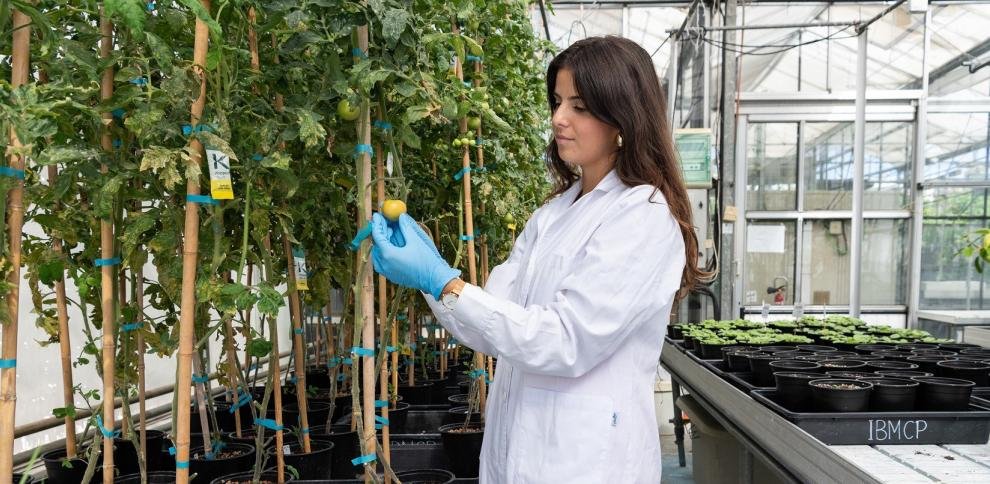 IBMCP - Instituto de Biología Molecular y Celular tweet media