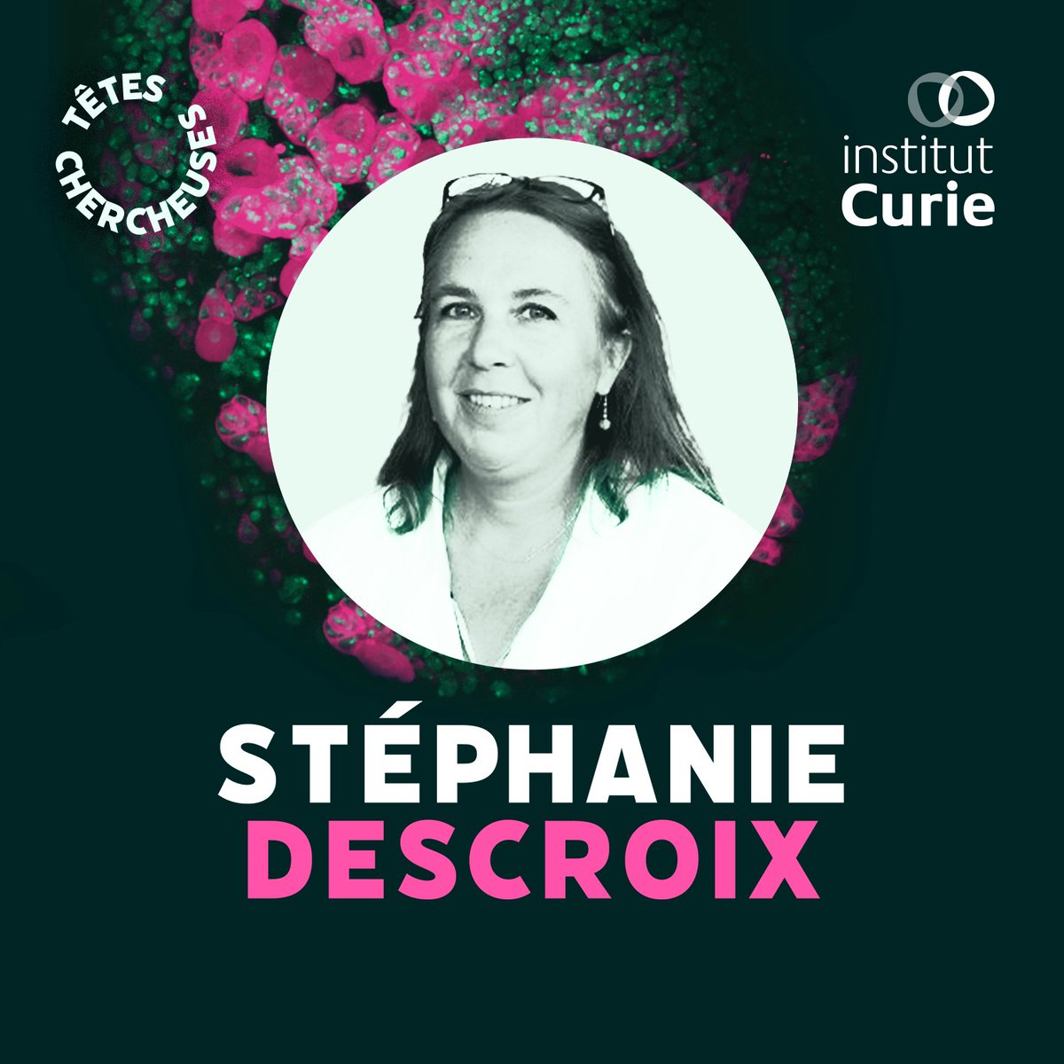 🎙️ Découvrez notre nouvelle série de #podcasts « Têtes Chercheuses », à la rencontre de scientifiques engagés contre le #cancer !
1er épisode : Stéphanie Descroix, cheffe d’équipe, présente les « tumeurs sur puce » qui révolutionnent l’étude des cancers

➡️audmns.com/uzzIFVN