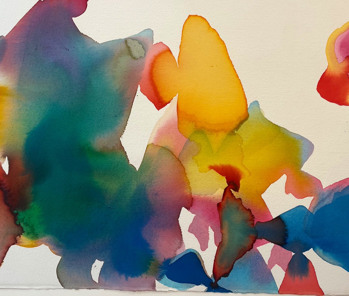 cora chalaby tweet media