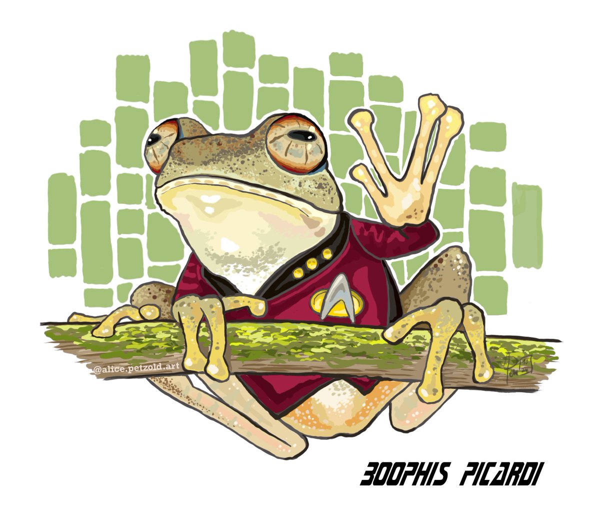 Dr Mark D. Scherz tweet media