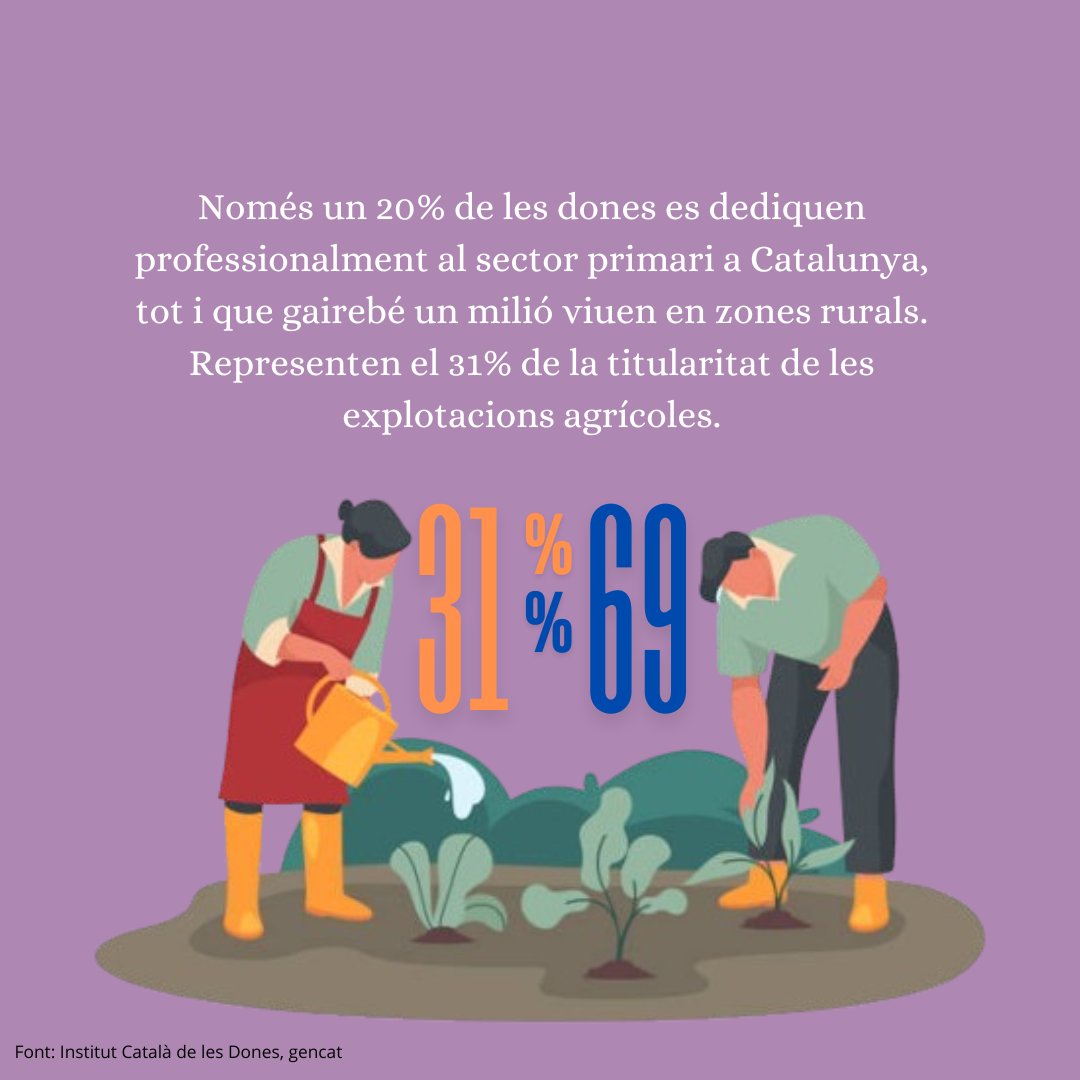 Servei d'Igualtat i Diversitat de la UAB (@igualtat_uab) on Twitter photo Avui 15 d'octubre se celebra el 🔹DIA INTERNACIONAL DE LA DONA RURAL🔹
➡️Aquest dia es va establir amb l’objectiu de visibilitzar el paper de les dones en el sector primari i la seva contribució en el món rural, reconeixent la seva rellevància en el sector agrari. #donesrurals Avui 15 d'octubre se celebra el 🔹DIA INTERNACIONAL DE LA DONA RURAL🔹
➡️Aquest dia es va establir amb l’objectiu de visibilitzar el paper de les dones en el sector primari i la seva contribució en el món rural, reconeixent la seva rellevància en el sector agrari. #donesrurals