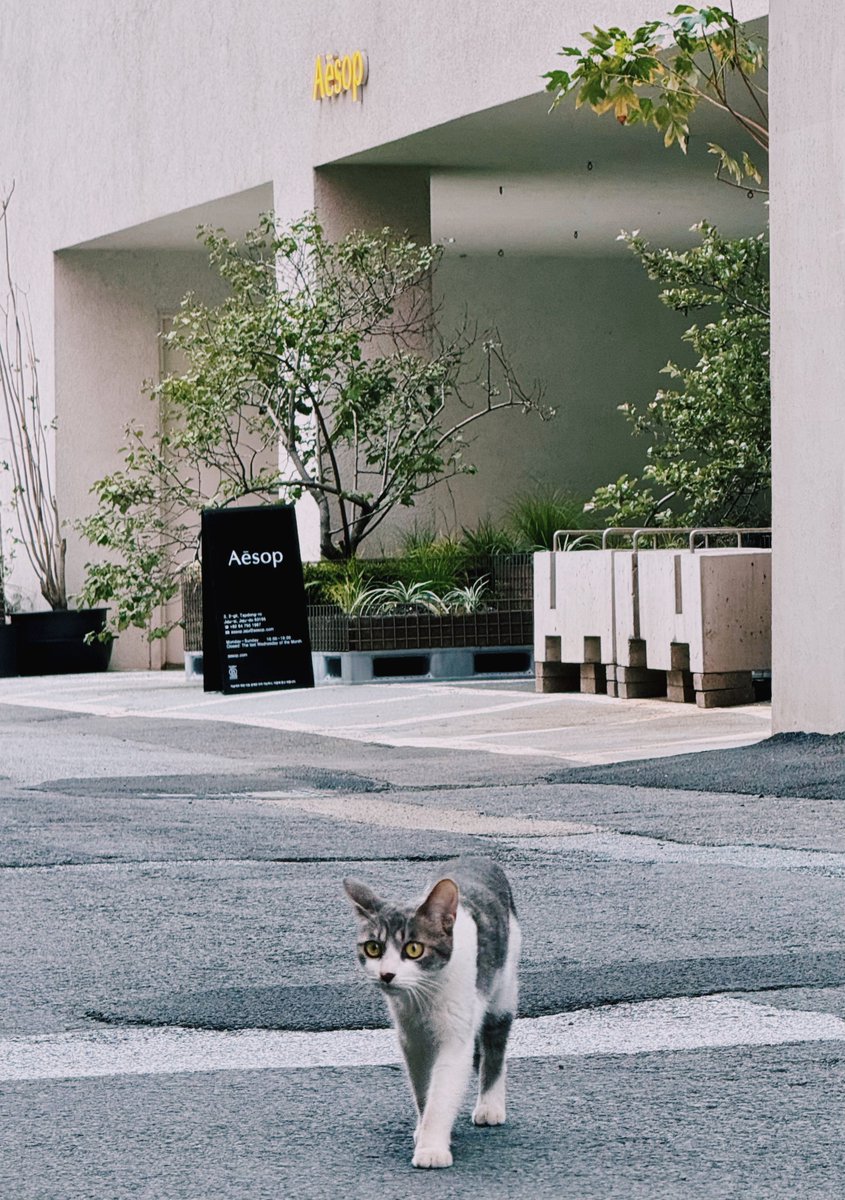 Jimmy Su tweet media