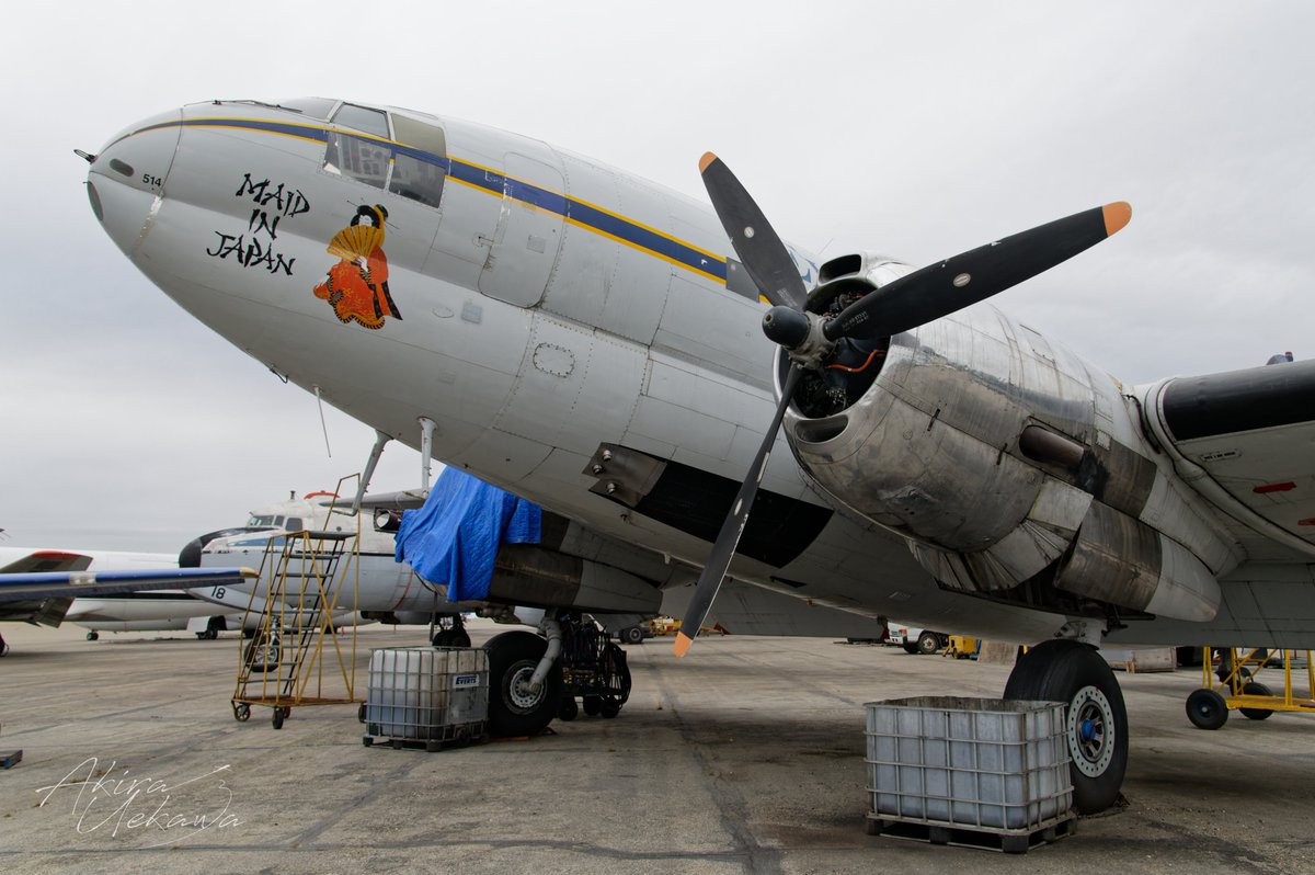 しないつぐみ1/11 美少女パラダイス9 C-9 (@tsugumi_shinai) / Posts / X