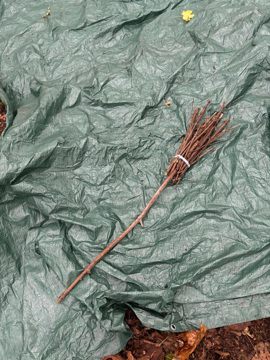 NLCYouthwork's tweet image. Well done to young people of New Stevenston who braved ‘The Creepy Coby’ today!!! 👻 

#nearlyhalloween #octoberweek #becauseofcld #outdoorlearning