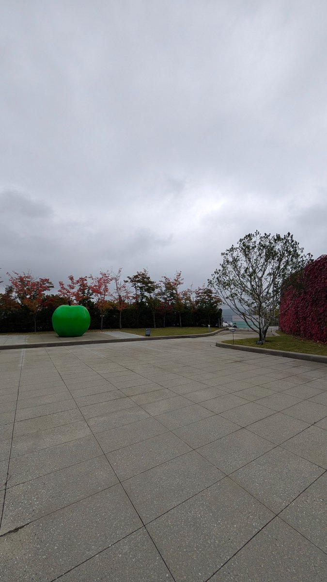 d330lee704j's tweet photo. 🍏はここに移動されてたよ🥺
#museumSAN #제훈씨네 https://t.co/ebXHs32UIO