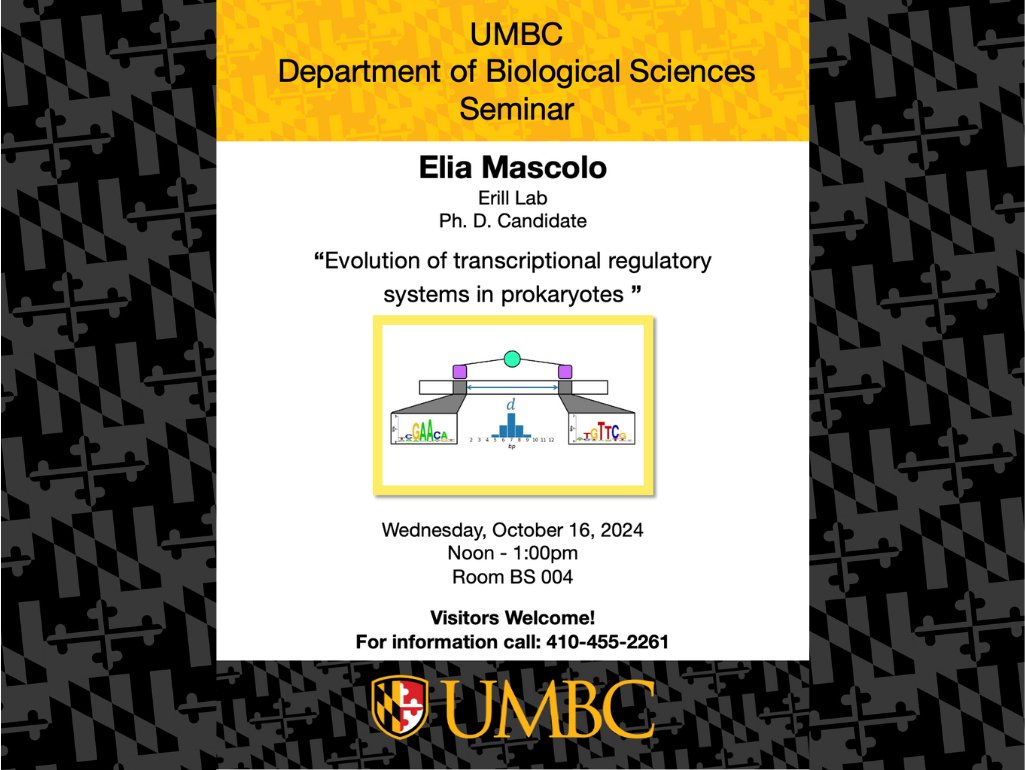 Please join the Department of Biological Sciences in BS 004 for two 5-Year Talks presented by two of our graduate students #UMBC #UMBCbiology #biology #science #bioscience #retrievernation #genetics #physiology #biomedical #CNMS #STEM #WomenInSTEM #biochemistry #neuroscience