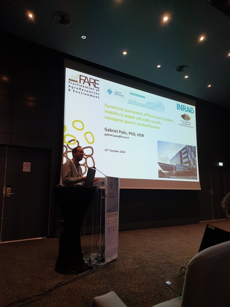 DrGabrielPaes's tweet photo. #Lignobiotech 2024 meeting in #Toulouse - Pleasure to present our work on #fluorescent probes to investigate #accessibility and #porosity of pretreated #biomass - possible to predict saccharification based on initial porosity!
▶️ https://t.co/OY7W6B7wId https://t.co/Oc7hHnWAda