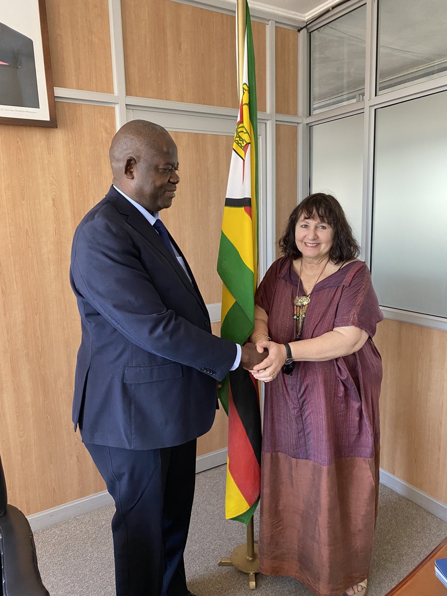 🌍 Exciting News from Zimbabwe! 🌍

💡 Think Equal is thrilled to announce that our founder, Leslee Udwin, met for the 3rd time with the visionary Honourable Minister of Primary and Secondary Education, Torerayi Moyo. /1
