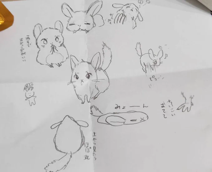 チンチラ〜🩶 