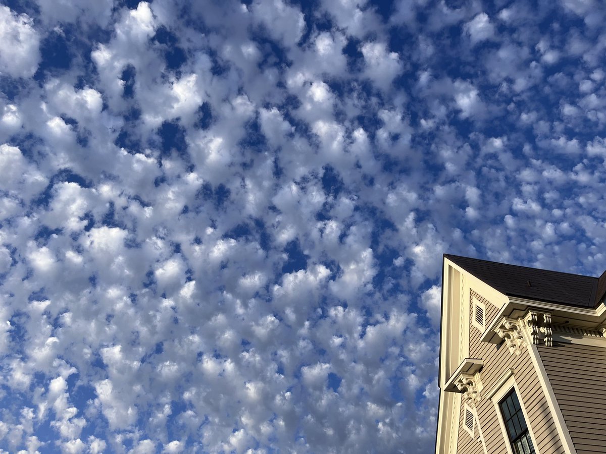 Betty Davis tweet media