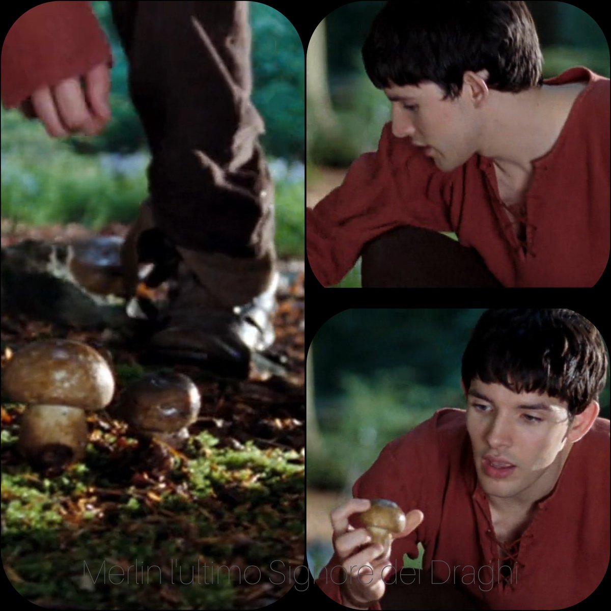 CinthyaCarlini's tweet photo. Autunno🍁🍂🍁🍂 è la stagione dei 🍄🍄🍄🍄
E Merlino non si lascia sfuggire l' occasione ☺️
#merlin
#season1
#merlinedit #merlinedits #merlincast #merlinemrys #merlinserie #merlincast #merlinphothos https://t.co/RvdSs3pQlu