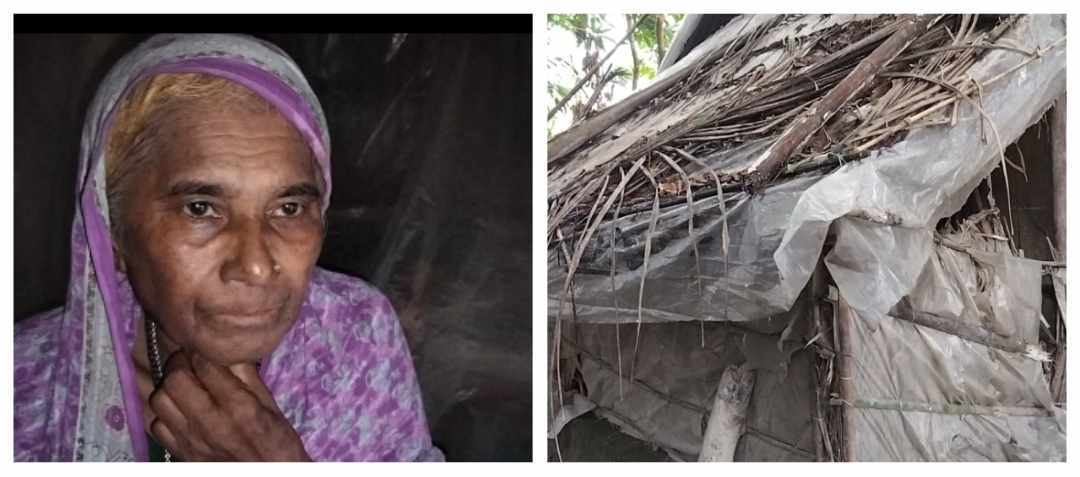 জরাজীর্ণ ঝুপড়ি ঘরে দিলু বেগমের মানবেতর জীবনযাপন!