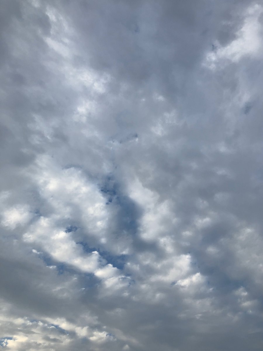 I was busy, I'm busy until the end of the year, so I may or may not be able to read X😭
I hope I can read everyone's tweets as much as possible🍀
Thank you for reading❤️
Please take care of yourself🍂
Have a great day☀️
From ONIGIRI🍙   

#Japan
#Japanesenature