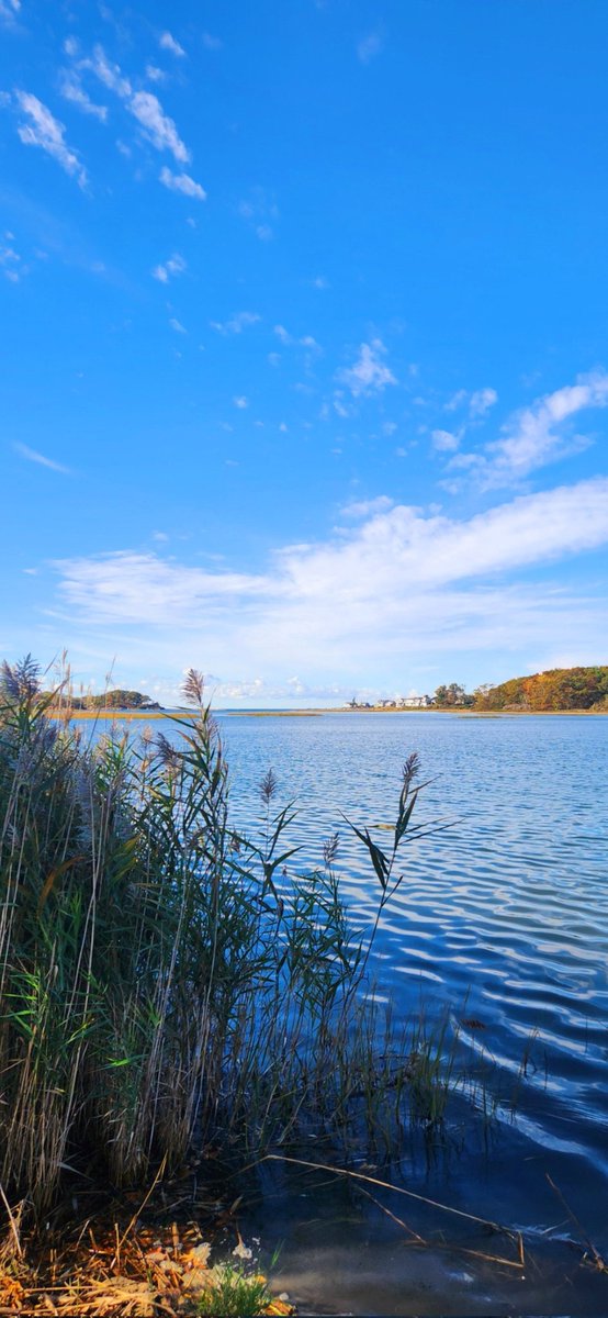 Indomable (@indomableeeeeee) on Twitter photo 