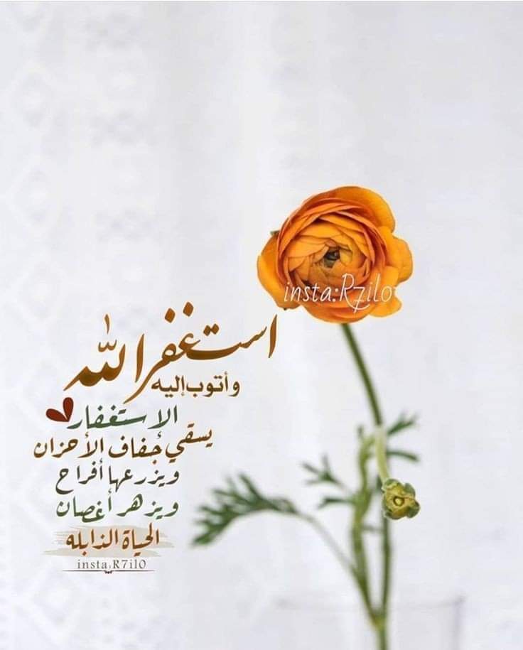 أستغفر الله الذي لا إله إلا هو الحي القيوم وأتوب إليه لي ولوالدي وللمسلمين والمسلمات الأحياء منهم والأموات