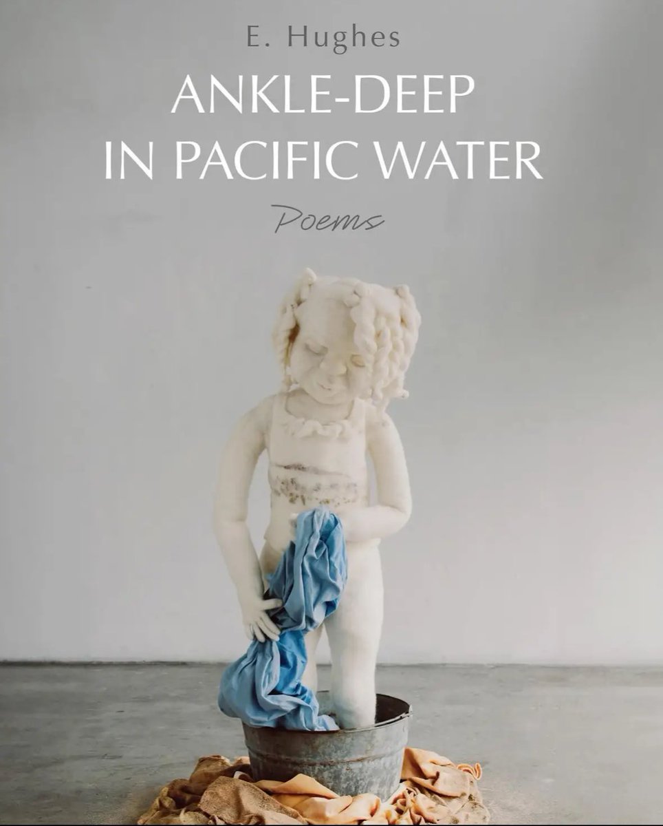 Happy Pub Day to these two Beloveds 💜 <a href="/brittanyroger_/">Brittany Rogers (she/her)</a> <a href="/E_Hughes_Poetry/">E. Hughes</a>