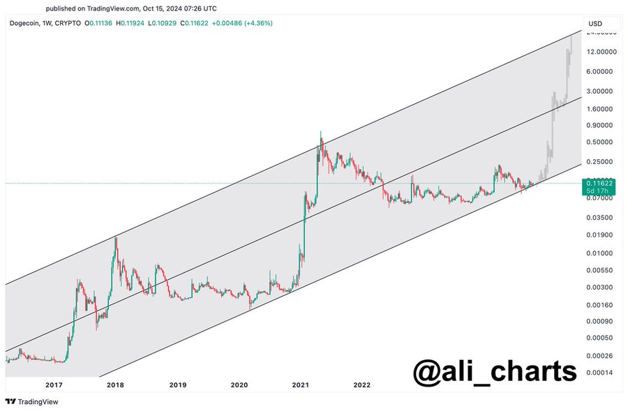 harga doge 