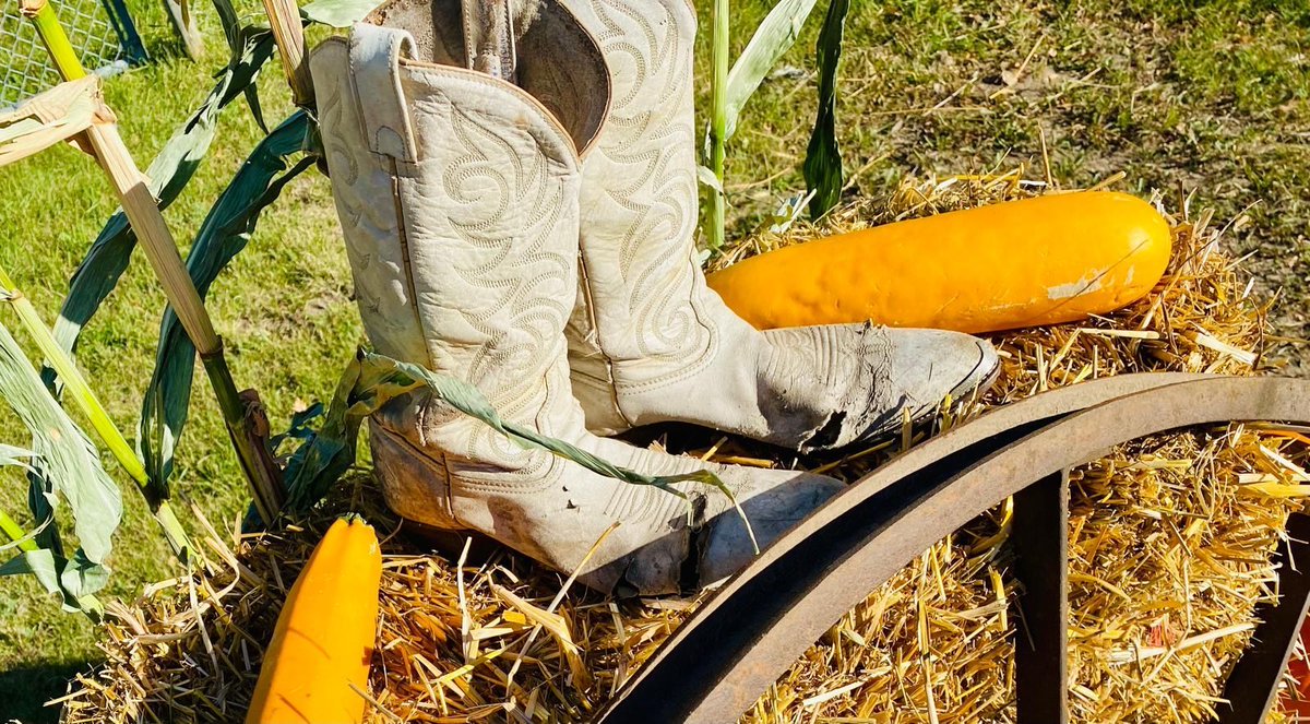 Manitoba Agricultural Museum tweet media