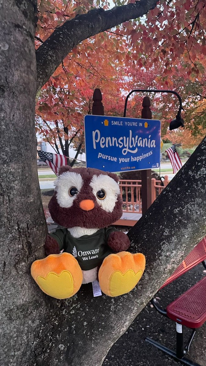 Onward We Learn tweet media