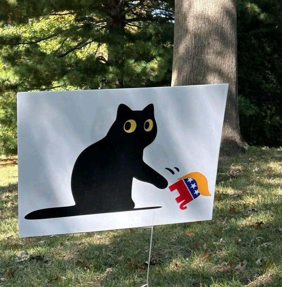 Reaproy's tweet image. Cat ladies to the fore! 
#DefeatTrump