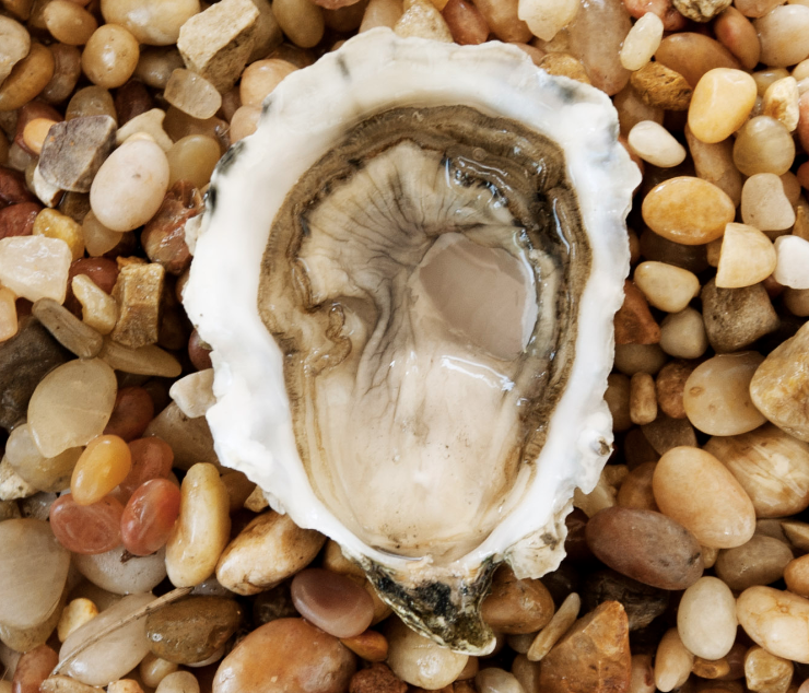 FlyingGoatWines's tweet photo. Order Oysters Now! - https://t.co/d4AC7TQoCQ https://t.co/2R5Z6Z7Roh