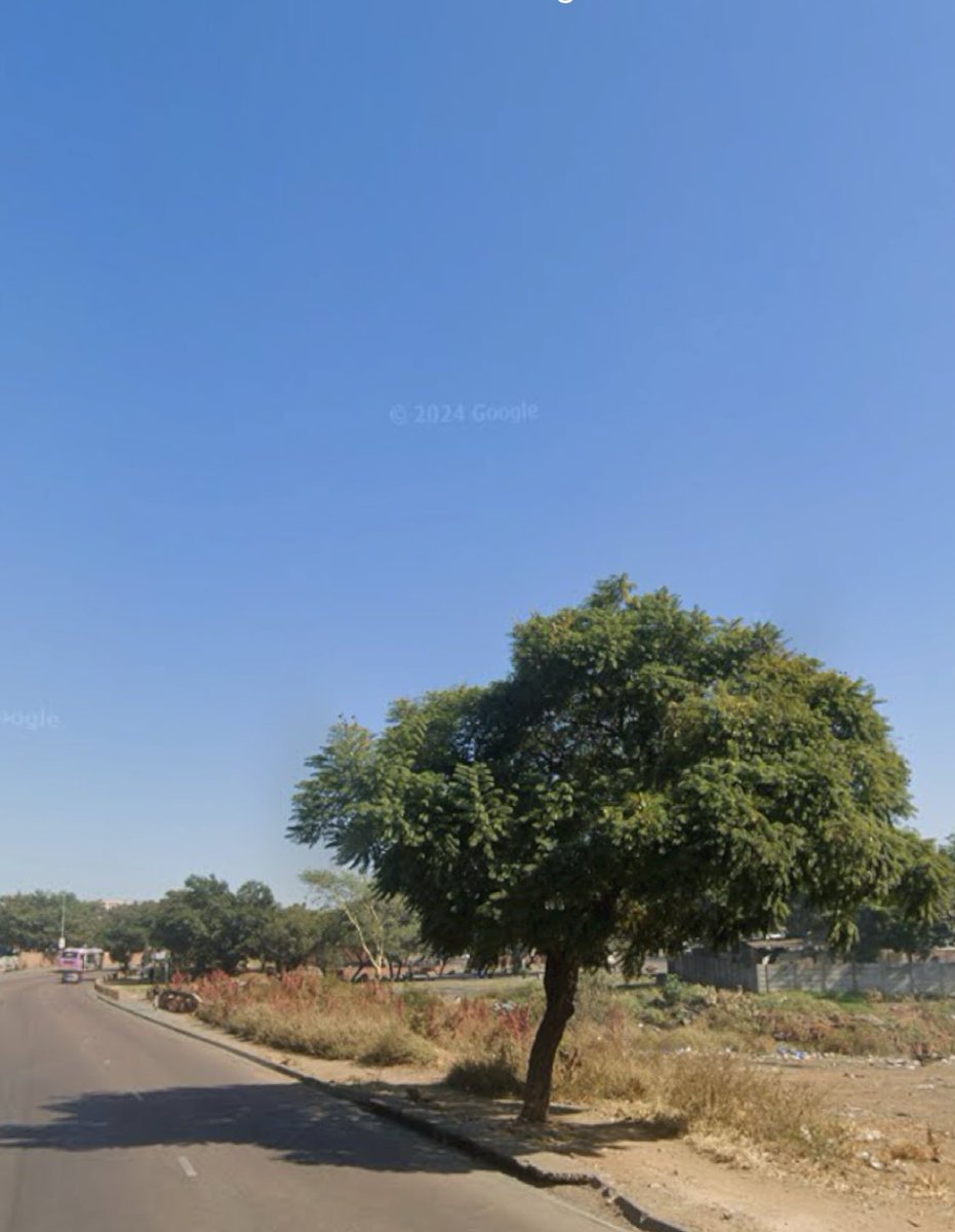 Pretoria 2009 vs 2024 36 Bloed Street